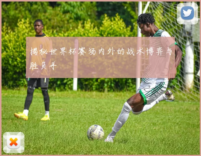 揭秘世界杯赛场内外的战术博弈与胜负手