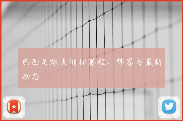 巴西足球美洲杯赛程、阵容与最新动态