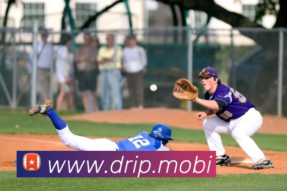 云开体app官网登录入口发展历程